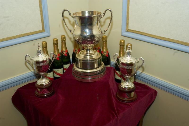 The Cup