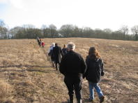 The Walk