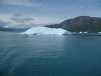 Ice11