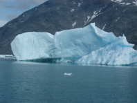 Ice12