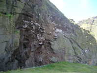 Westmann1