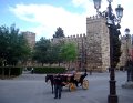 IMGP7083