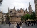 IMGP7096