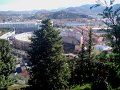 IMGP6479