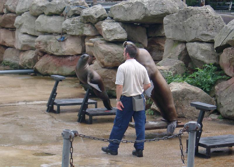 IMGP4938.JPG - Lunch by the Pacific Sea Lion Pool