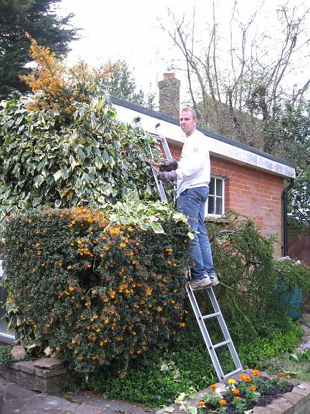 IMG_3781.jpg - Pete 'cutting back'