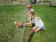 IMG_0739