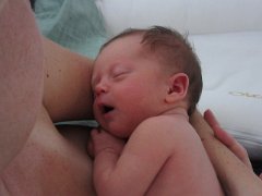 IMG_0890