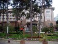 IMGP6104