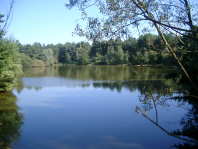 From the Bridge