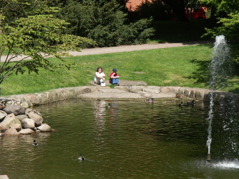 Sweden 096